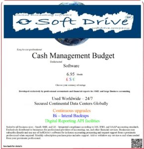 online budget management for businesses